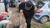 Blagoje iz okoline Bujanovca proda i preko 400 zečeva orijaša: Meso im nemasno, pa ih je sve više na trpezi