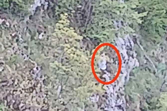 Šavnik, Bogdan Rajović, automobilom sleteo sa puta Šavnik, Bogdan Rajović, automobilom sleteo sa puta