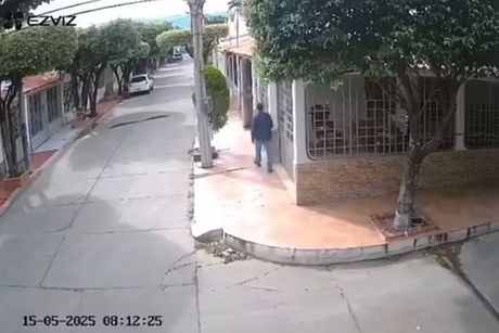 Maria Jose Estupinan