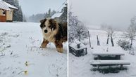 Ljudi gledaju sliku iz Srbije i ne veruju da je nastala u maju: Autor nam otkrio gde je tačno napravljena