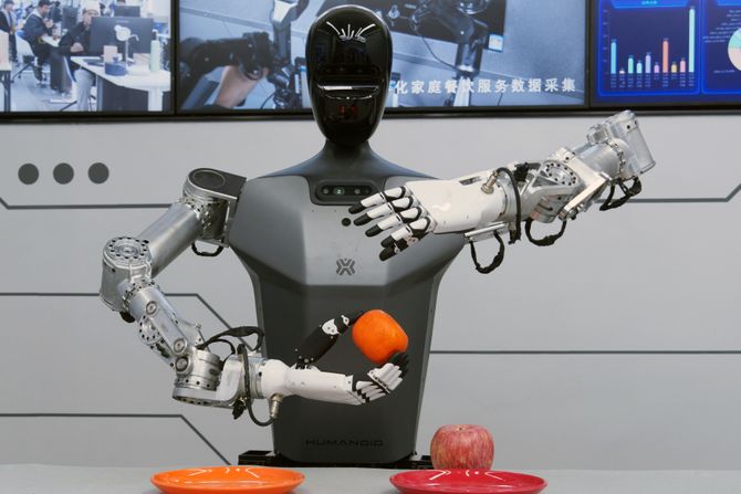 Humanoidni robot Humanoidni robot