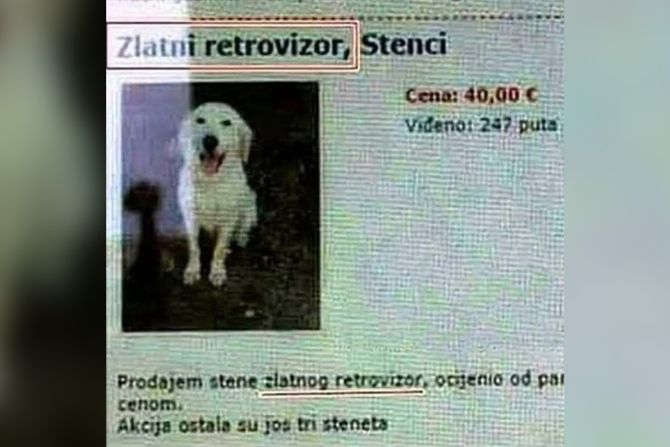 Zlatni retrovizor