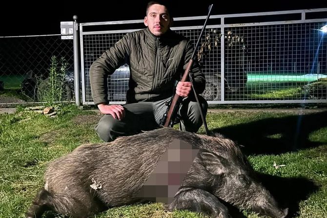 Odstrel divljeg vepra 90kg Odstrel divljeg vepra 90kg