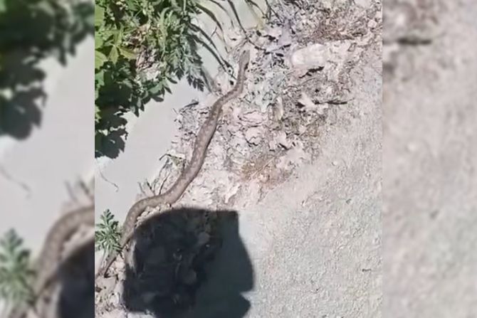 Poskok kod manastira ćelije