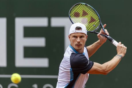 Novak Đoković, Marton Fučovič