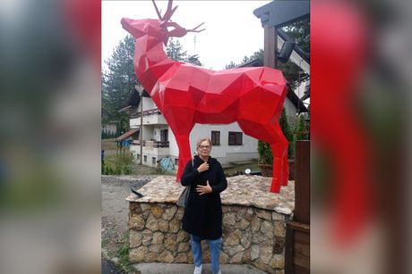 Karcinom dojke Karcinom dojke