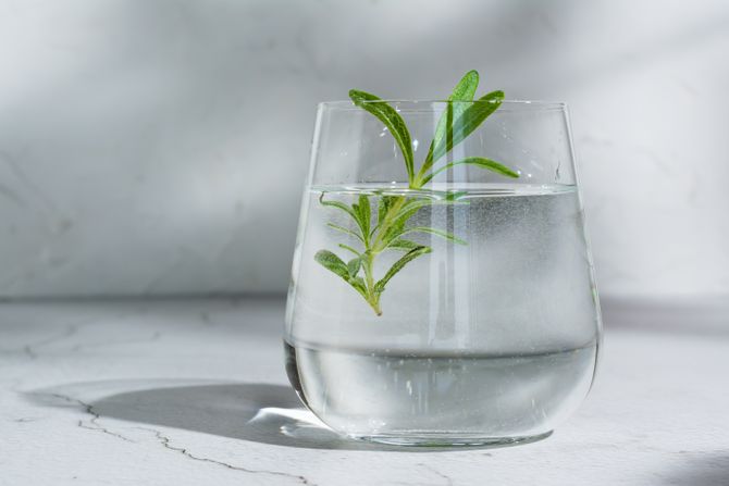 Ruzmarinova voda Ruzmarinova voda