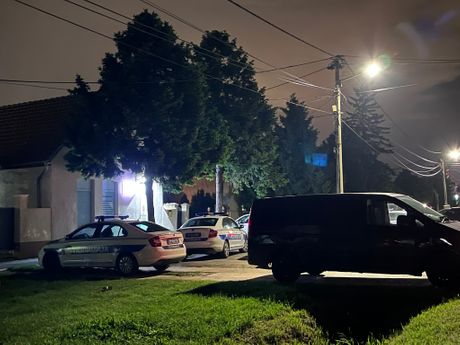 Surčin ubistvo Surčin ubistvo