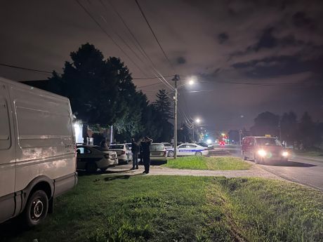 Surčin ubistvo Surčin ubistvo