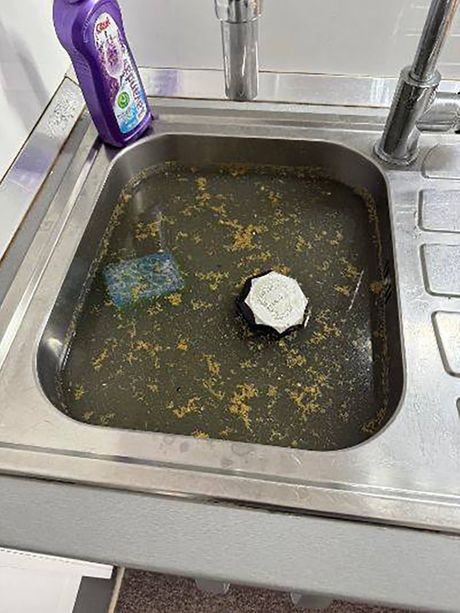 leptospiroza, Kanalizacija