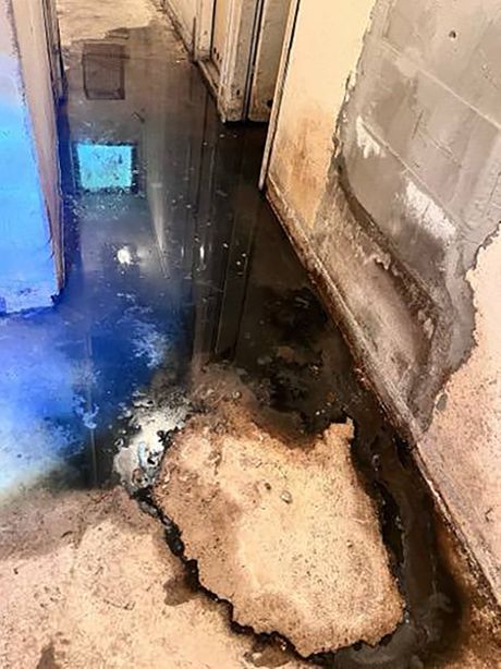 leptospiroza, Kanalizacija