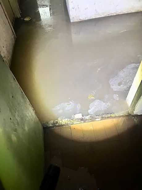 leptospiroza, Kanalizacija