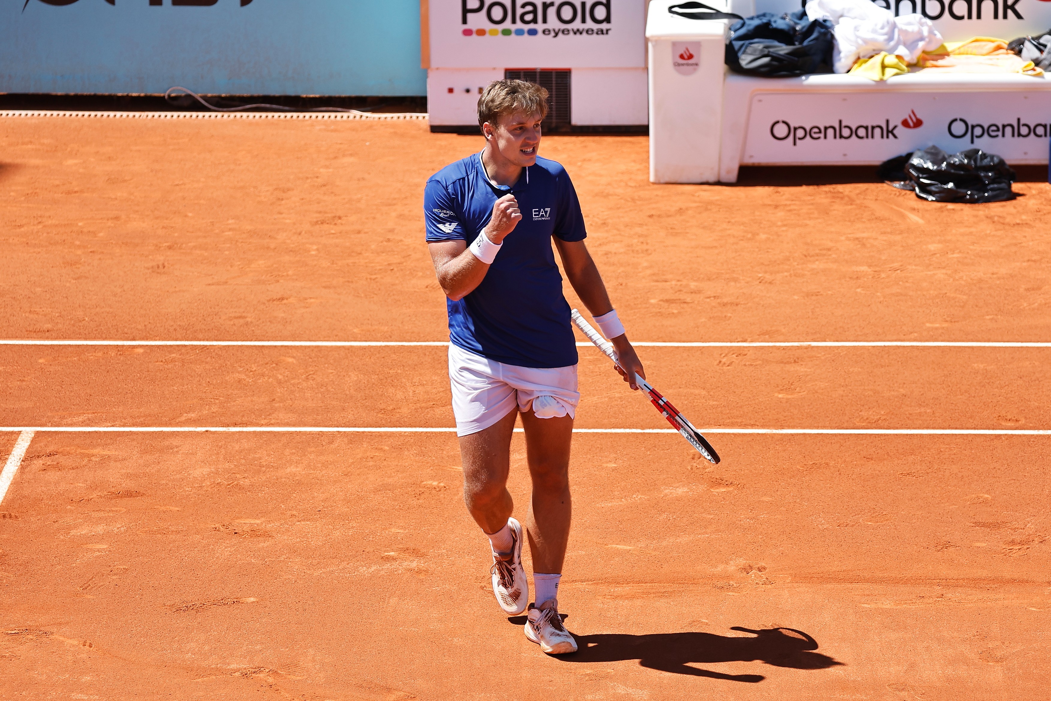 Da li međed može da se probudi iz zimskog sna?