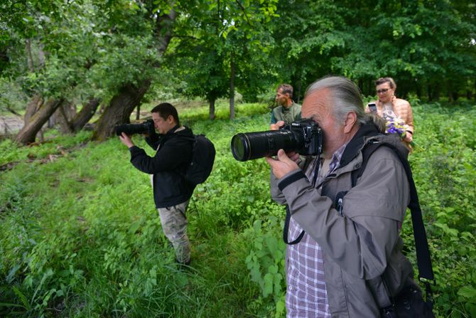 safari Jaroslav Pap