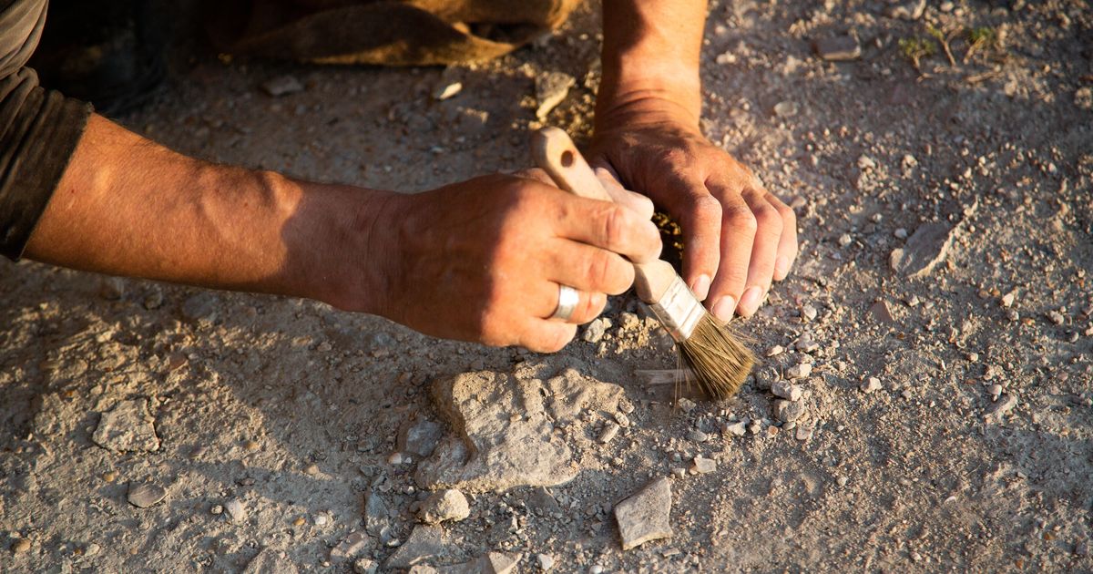 More than 50 ancient graves discovered at the largest cemetery in Yakutia