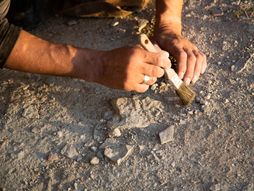 arheolozi, arheologija