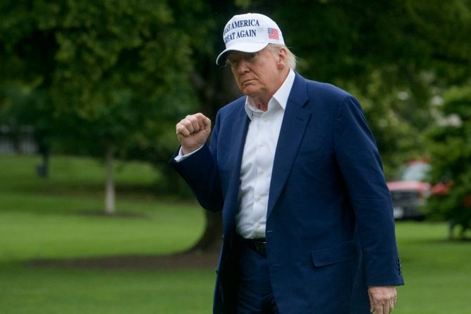 Donald Tramp Donald Tramp