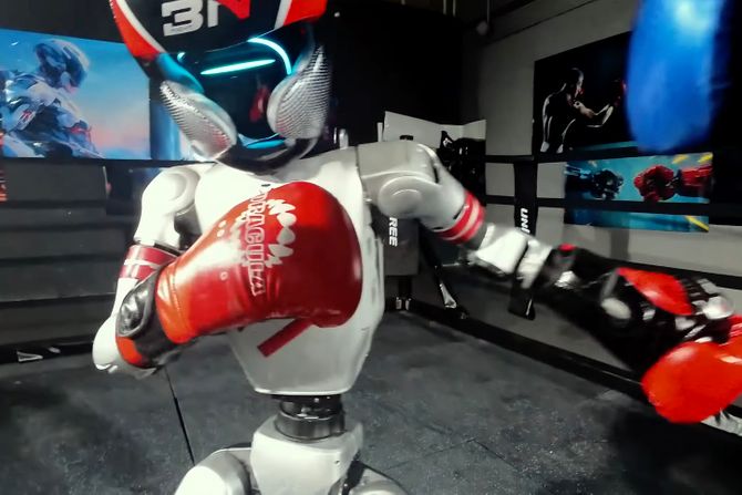 Robot boxers , boks , kik boks
