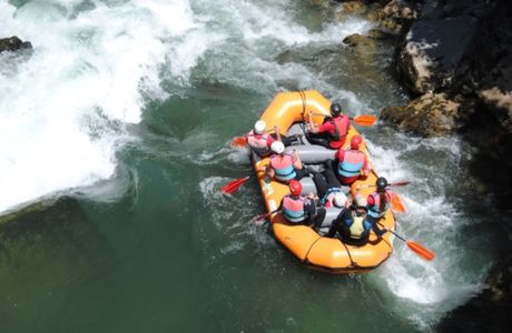 Limska regata Limska regata