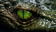 DRAMA U NEMAČKOJ U dvorištu kuće nađeni opasni gmizavci, vlast pokrenula akciju! Najteže su uhvatili LUCIFERA