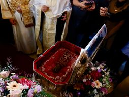 Ruka Svetog Save iz Mileševe, mošti doček