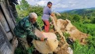 Kad im Miloš napravi frizuru mirne su do sledećeg proleća! On je ovih dana najpopularniji frizer u kraju!