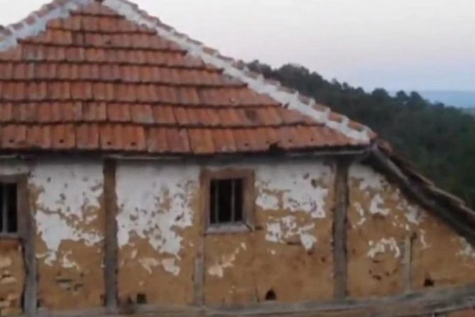 Živorad Žika Nikolić, kuca