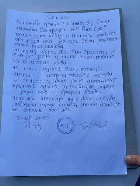 Ubijeni psi, selo Rajac Ubijeni psi, selo Rajac
