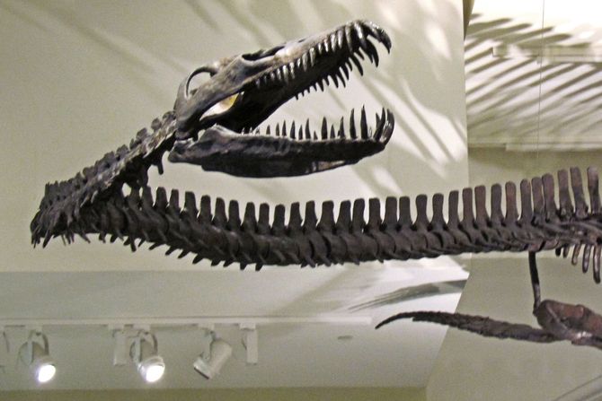 Drevno čudovište Drevno čudovište