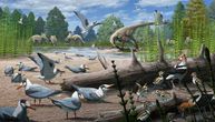 Ptice su se gnezdile na Arktiku pre 73 miliona godina - pored dinosaurusa