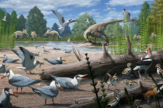 ptice dinosaurusi arktik ptice dinosaurusi arktik