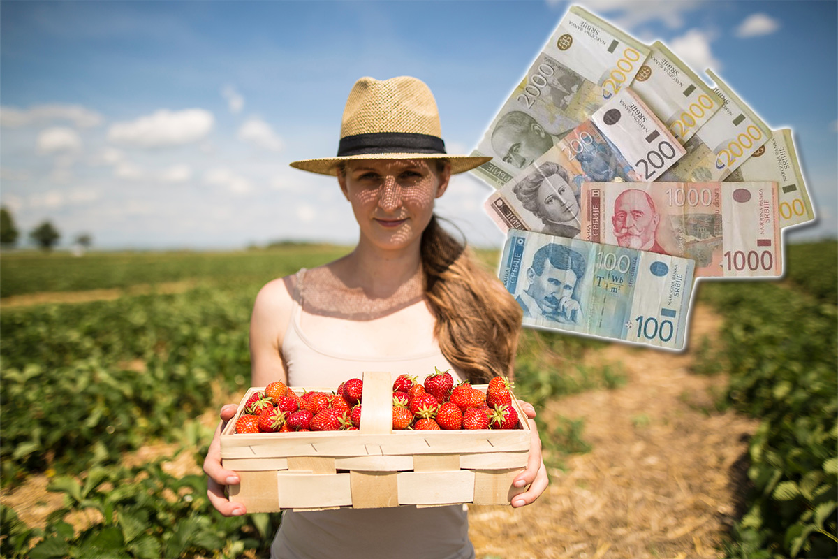 Ovi sezonci NAJVIŠE zarađuju u Srbiji? Jedni za mesec dana uzmu čak 180.000 DINARA