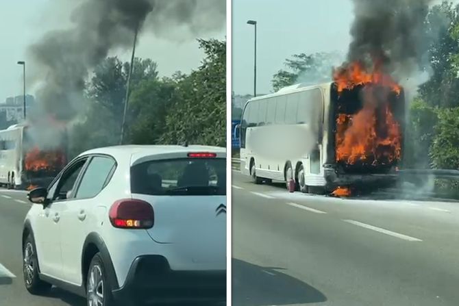 Gori autobus Gori autobus
