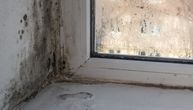 Žive kao u horor filmu! Mladi podstanari dele stan sa buđi, stenicama i leševima životinja, gazde ih ignorišu