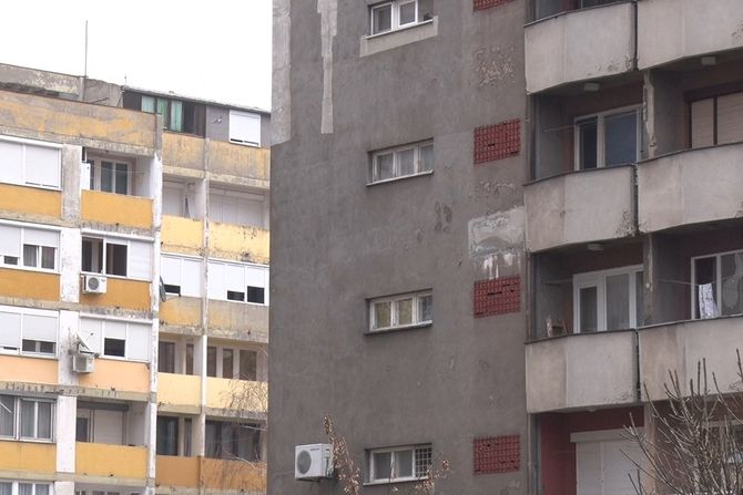 Bubašvabe u Šapcu Bubašvabe u Šapcu