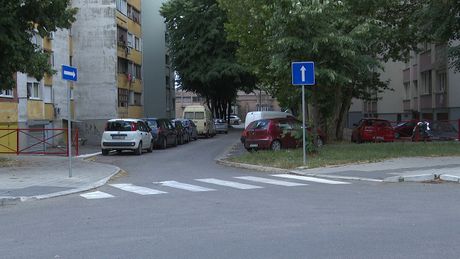 Bubašvabe u Šapcu Bubašvabe u Šapcu