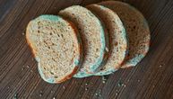 Da li tačkica buđi treba da nas odvrati od korišćenja takvog hleba? Dilema je razrešena