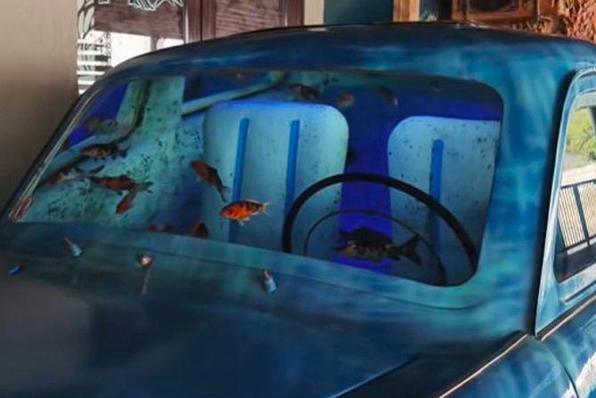 akvarijum, krim akvarijum, krim