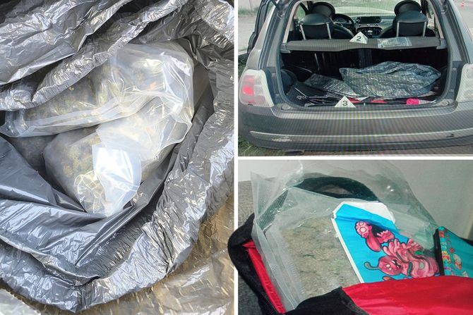 Droga opijati marihuana vagica zaplena Obrenovac Fičer Droga opijati marihuana vagica zaplena Obrenovac Fičer