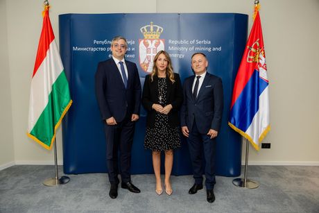 dubravka djedovic dubravka djedovic