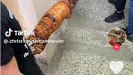Kraj školske godine i PRASE! Mreže gore, evo kako su se kragujevački srednjoškolci dosetili "da poprave ocene"