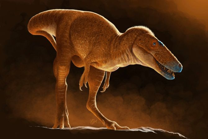 Khankhuuluu mongoliensis Khankhuuluu mongoliensis