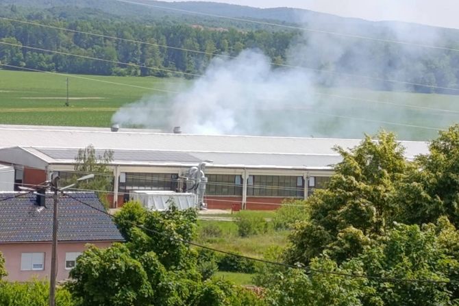 Hrvatska pilana DI Čazme požar