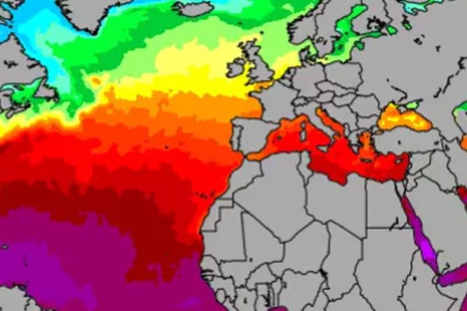 Temperature mora Temperature mora
