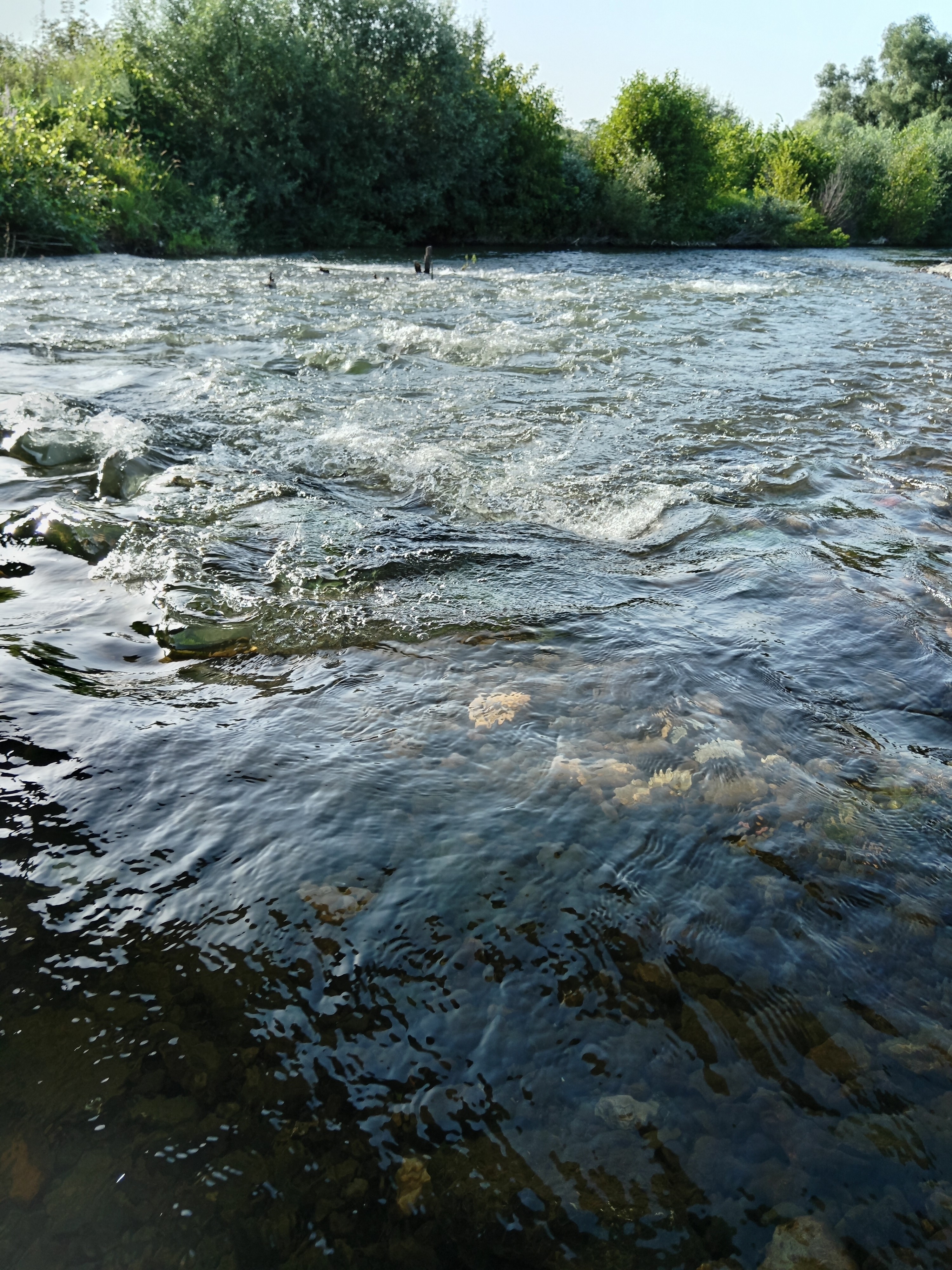 Reka Spreča preti izlivanjem iz korita: Voda je već došla do poljoprivrednih površina
