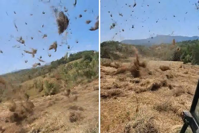 Selo Vrdila - Kraljevo, lokacija Verigova bara., vrtlog Selo Vrdila - Kraljevo, lokacija Verigova bara., vrtlog