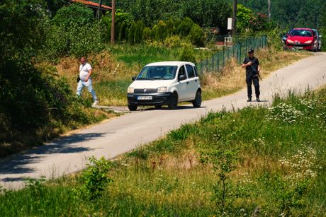Zaječar Zaječar