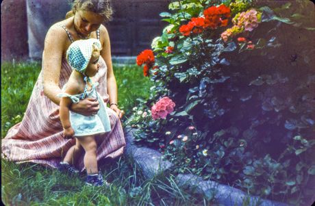 vintage slike vintage slike