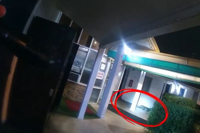 aligator, motel