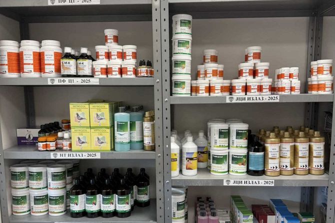 carina, lekovi za golubove